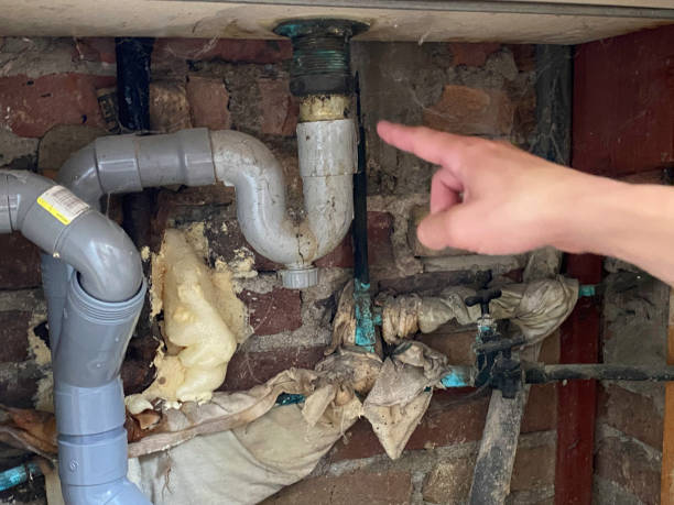 Best Water damage contractors near me  in Washington, NJ