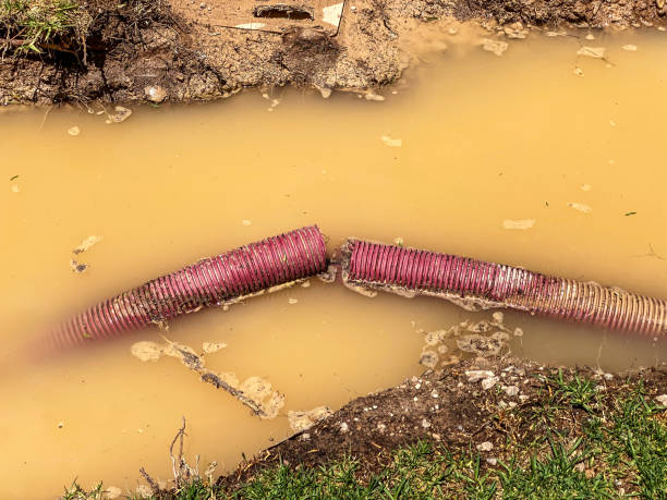Best Basement water damage restoration  in Washington, NJ