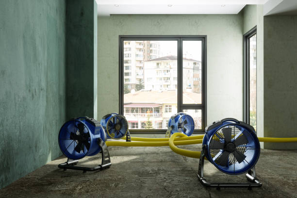 Water damage restoration mold remediation in Washington, NJ
