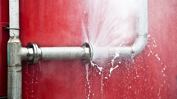 Best Flood restoration services  in Washington, NJ